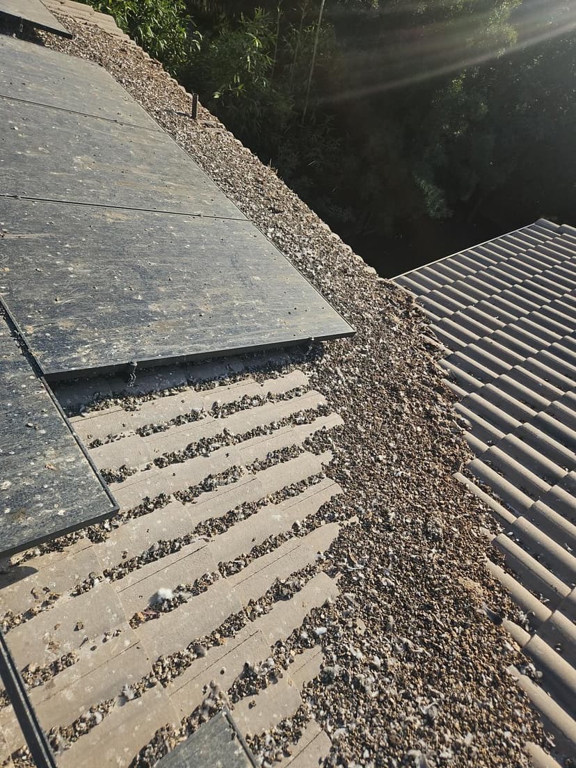 Bird droppings and debris covering tile roof before cleaning