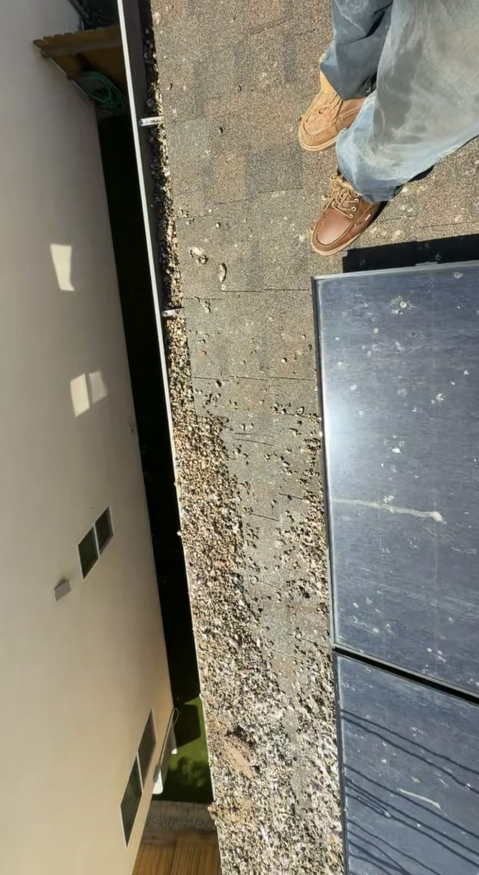 Gutter packed with bird droppings and debris before cleaning